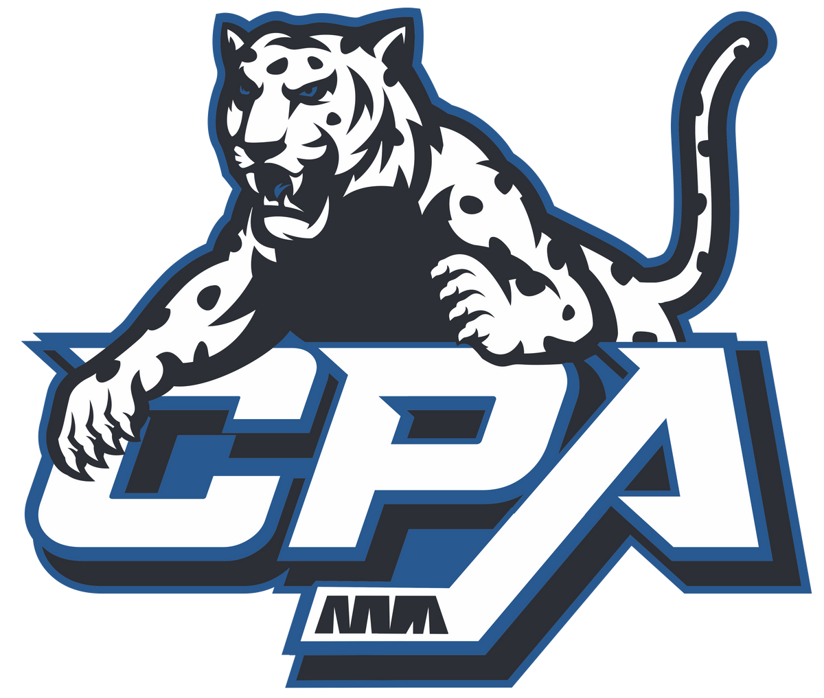CPA 26/27 PAYMENT